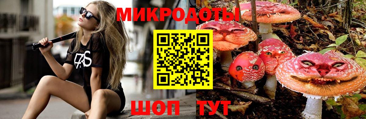 Псилоцибиновые грибы мухоморы Камень-на-Оби